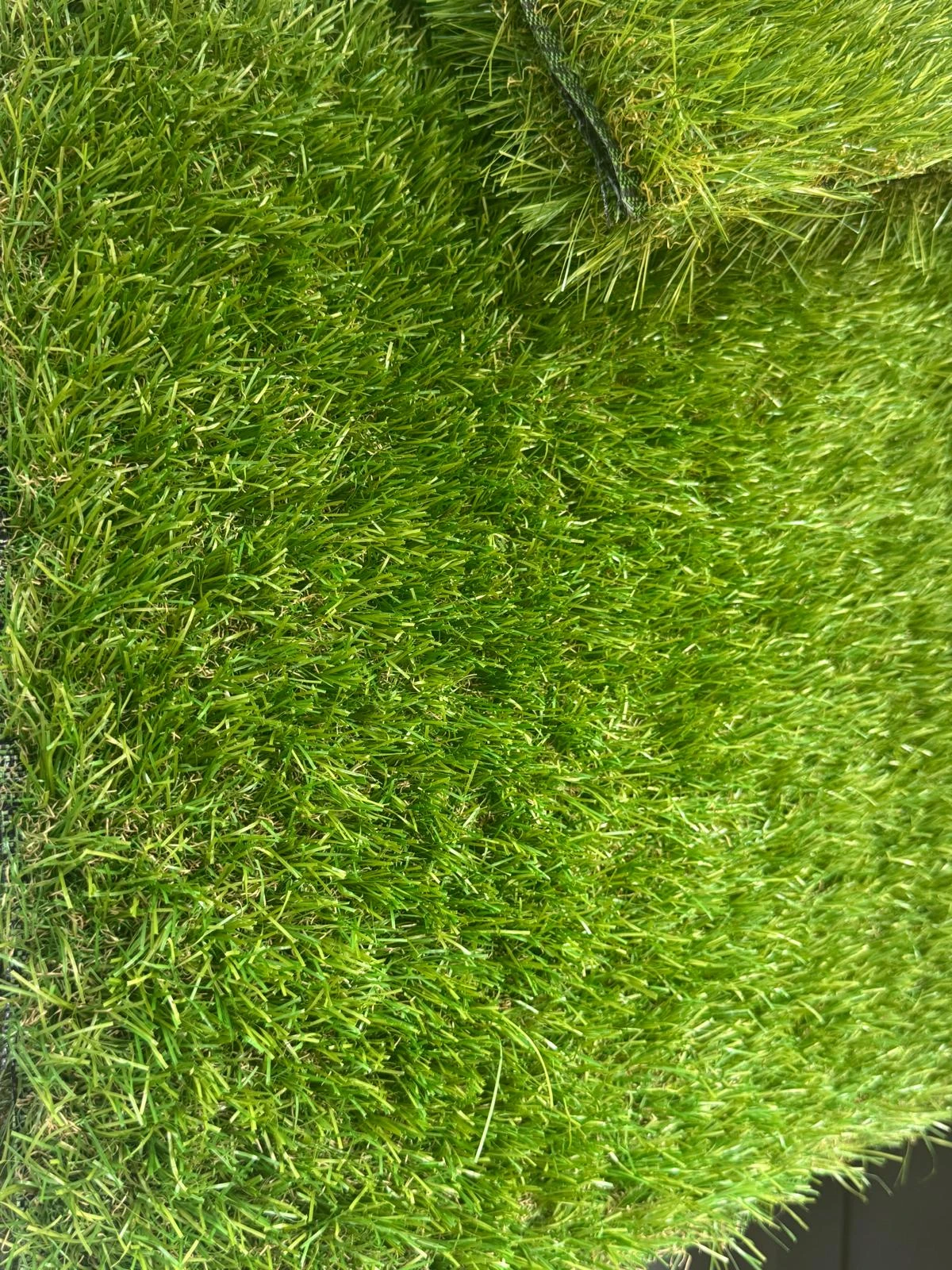 Image0